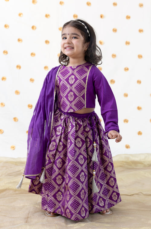 Regal Brocade Lehenga Set - Purple