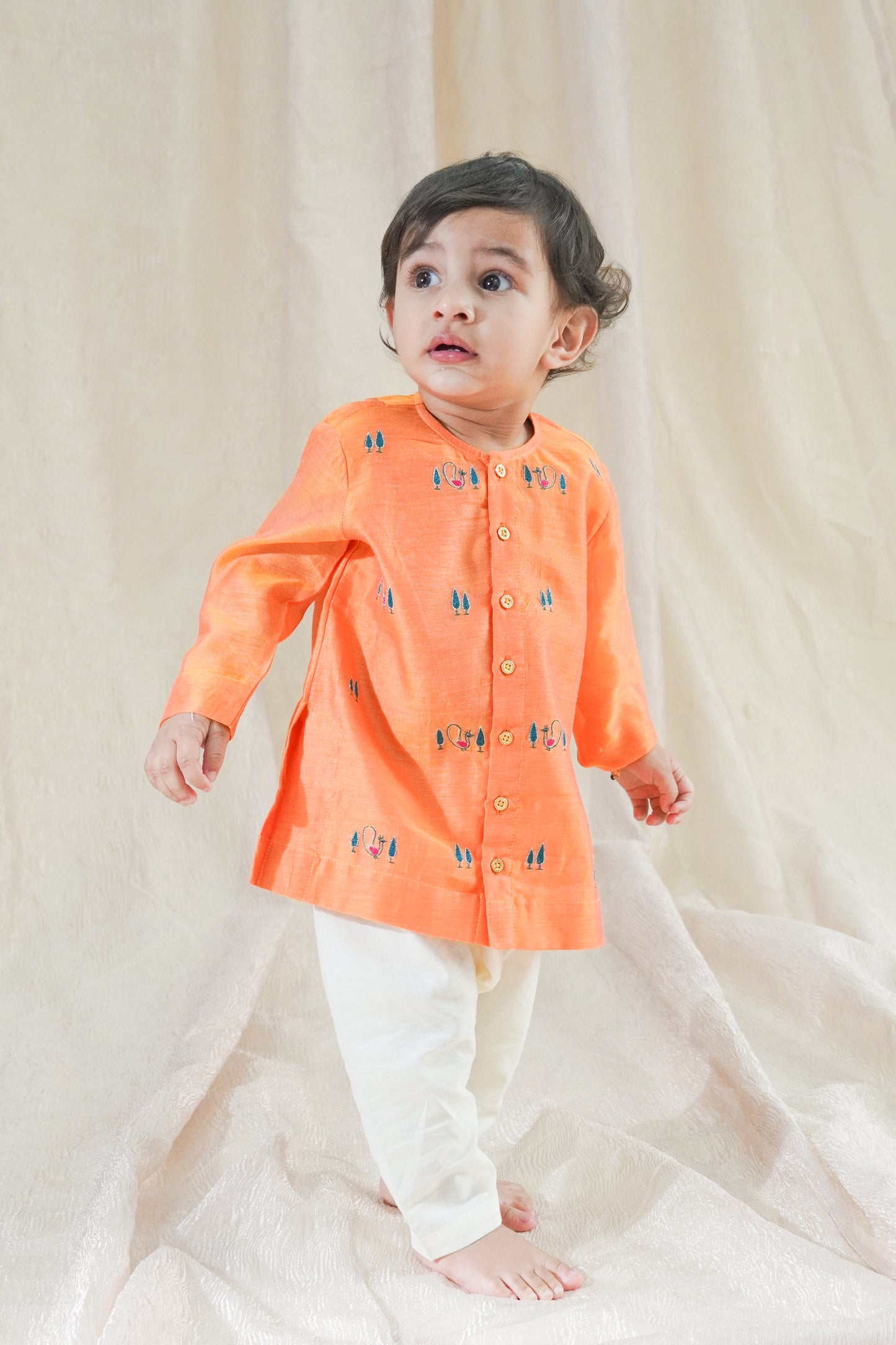 Mayur Regal Kurta Set