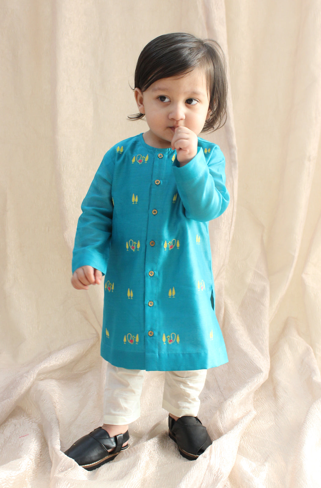 Mayur Regal Kurta Set