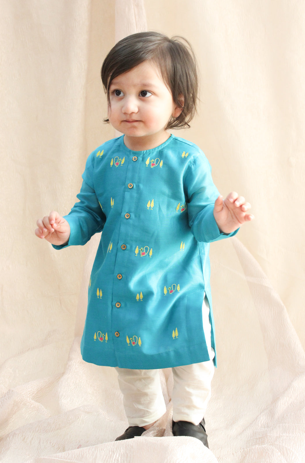 Mayur Regal Kurta Set