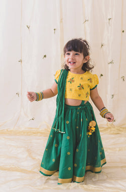 Bahaar Lehenga Set-Green